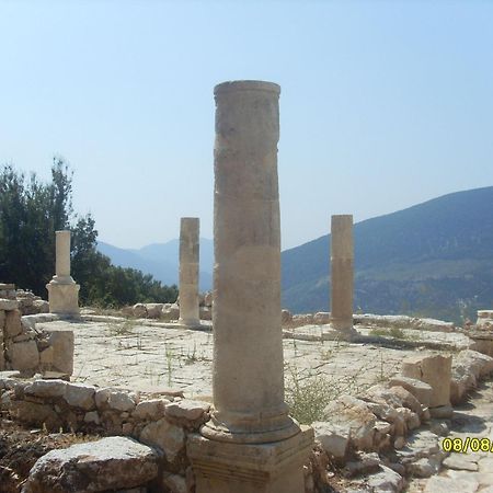 Arikanda River Garden Hotel Adrasan Dış mekan fotoğraf