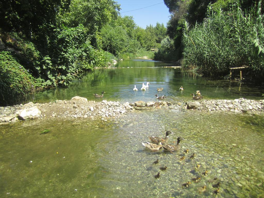 Arikanda River Garden Hotel Adrasan Dış mekan fotoğraf